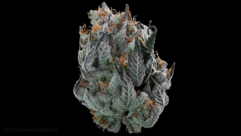 10 Quick Tips To Help You Grow Better Weed